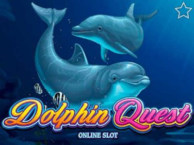 Dolphin Quest